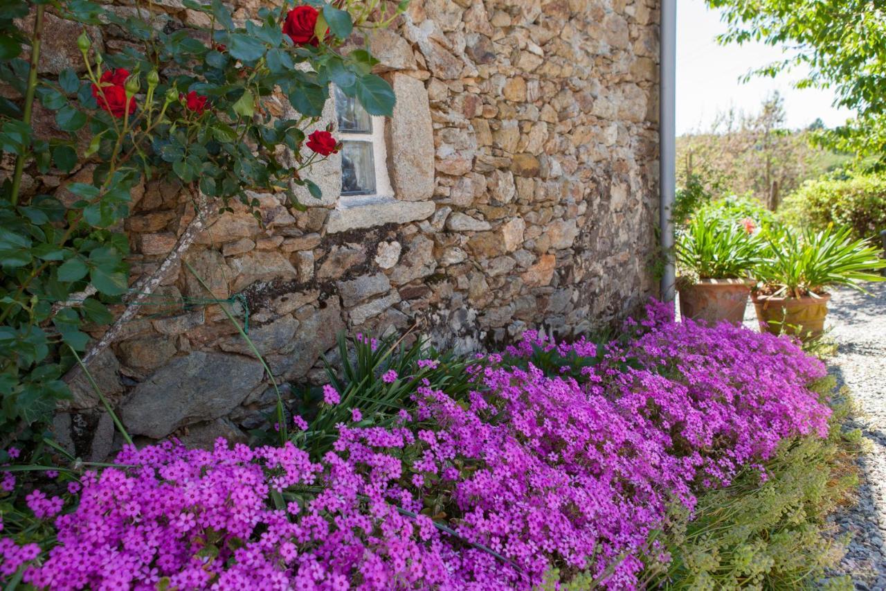 B&B Fleur De Lys Bleue Soudaine-Lavinadière Exterior photo